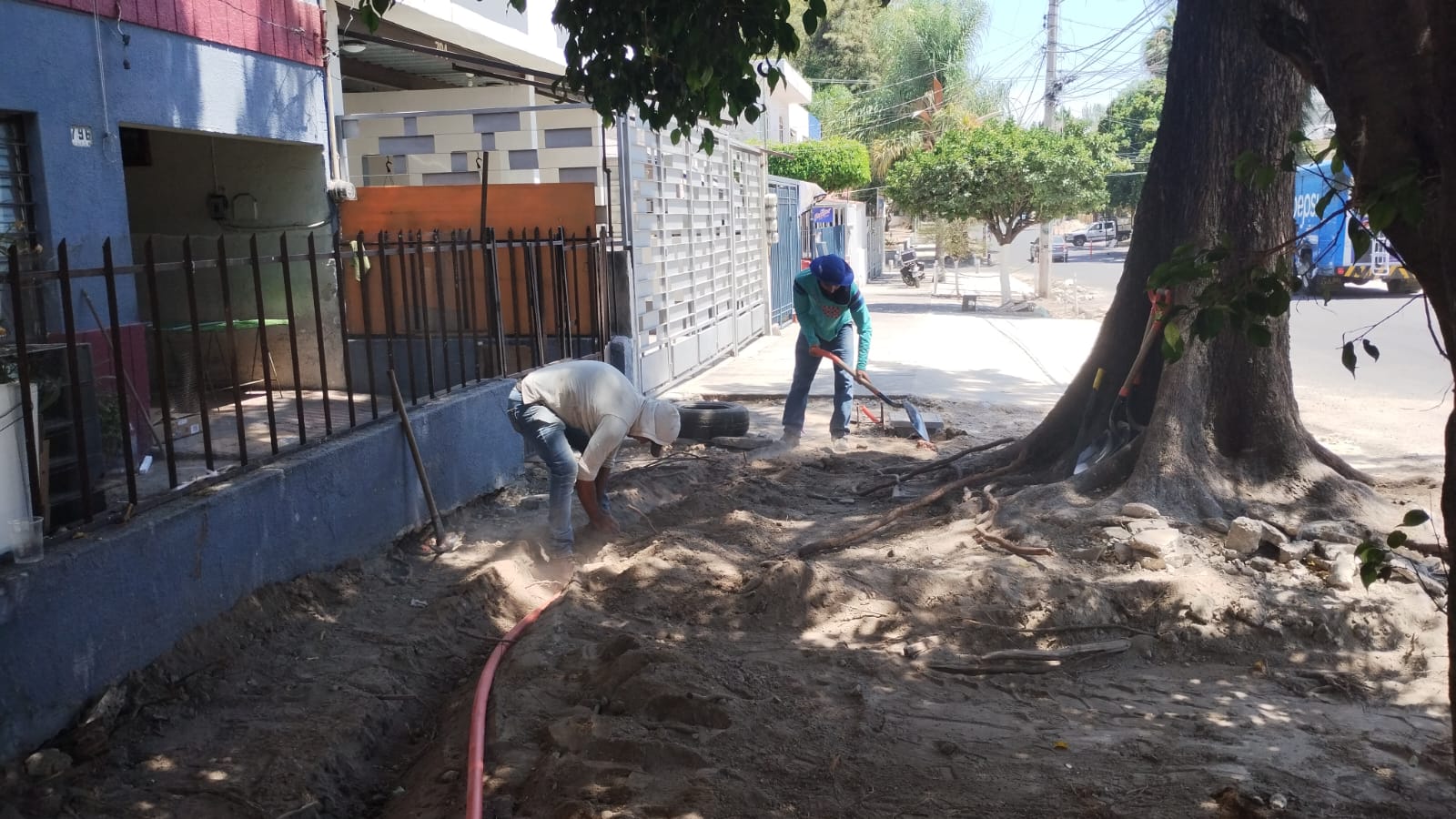 Imagen del proyecto