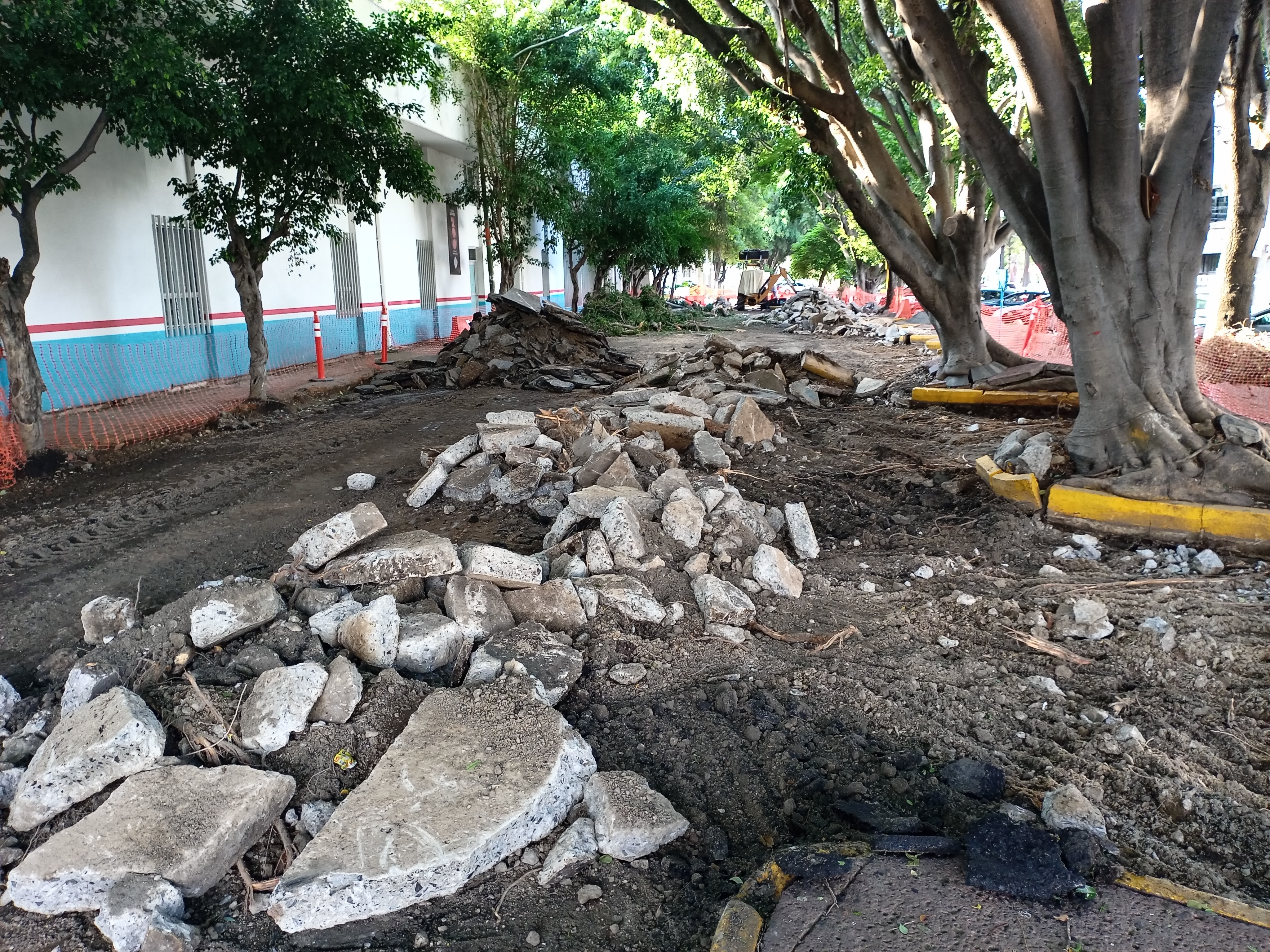 Imagen del proyecto