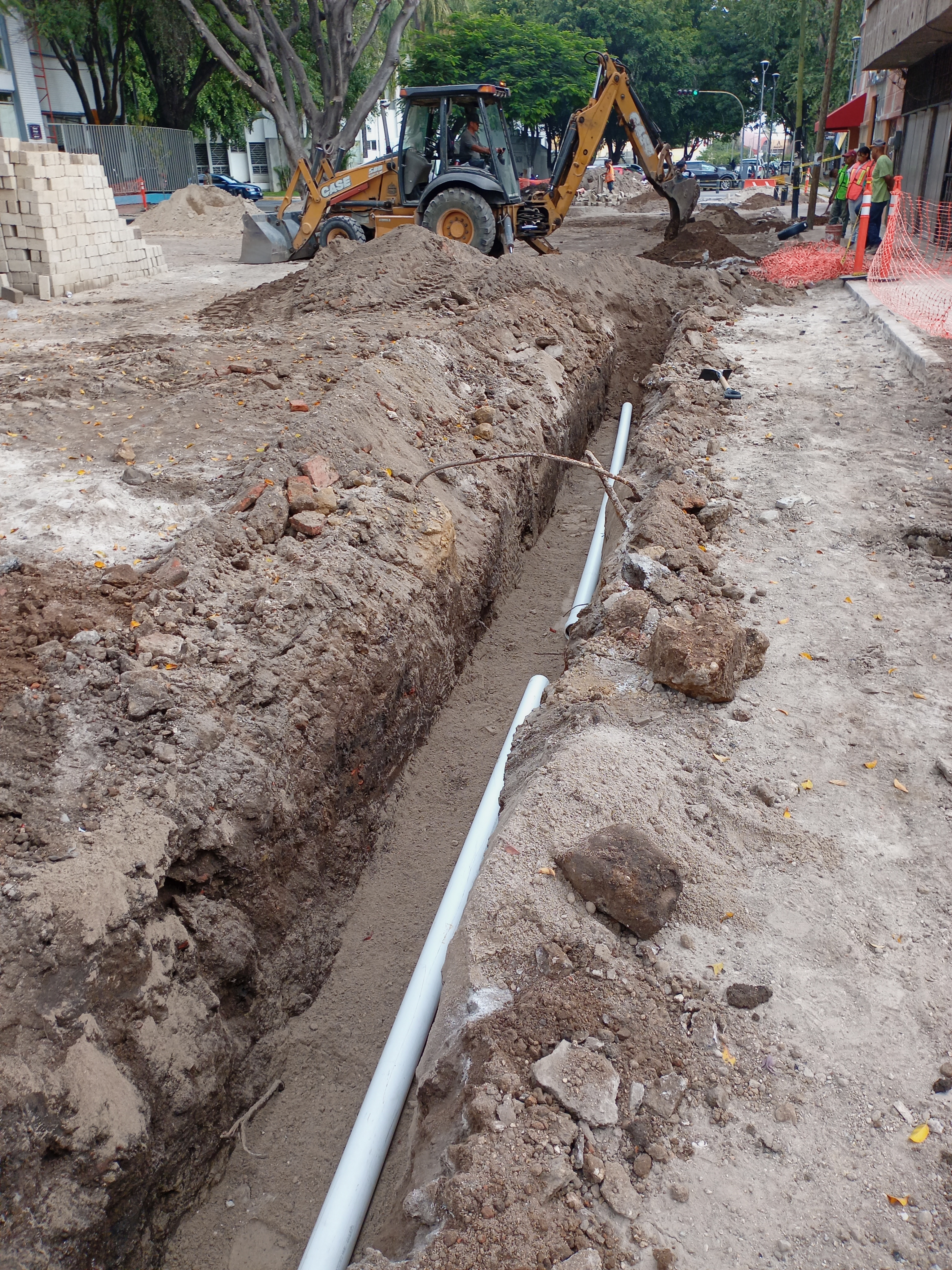 Imagen del proyecto