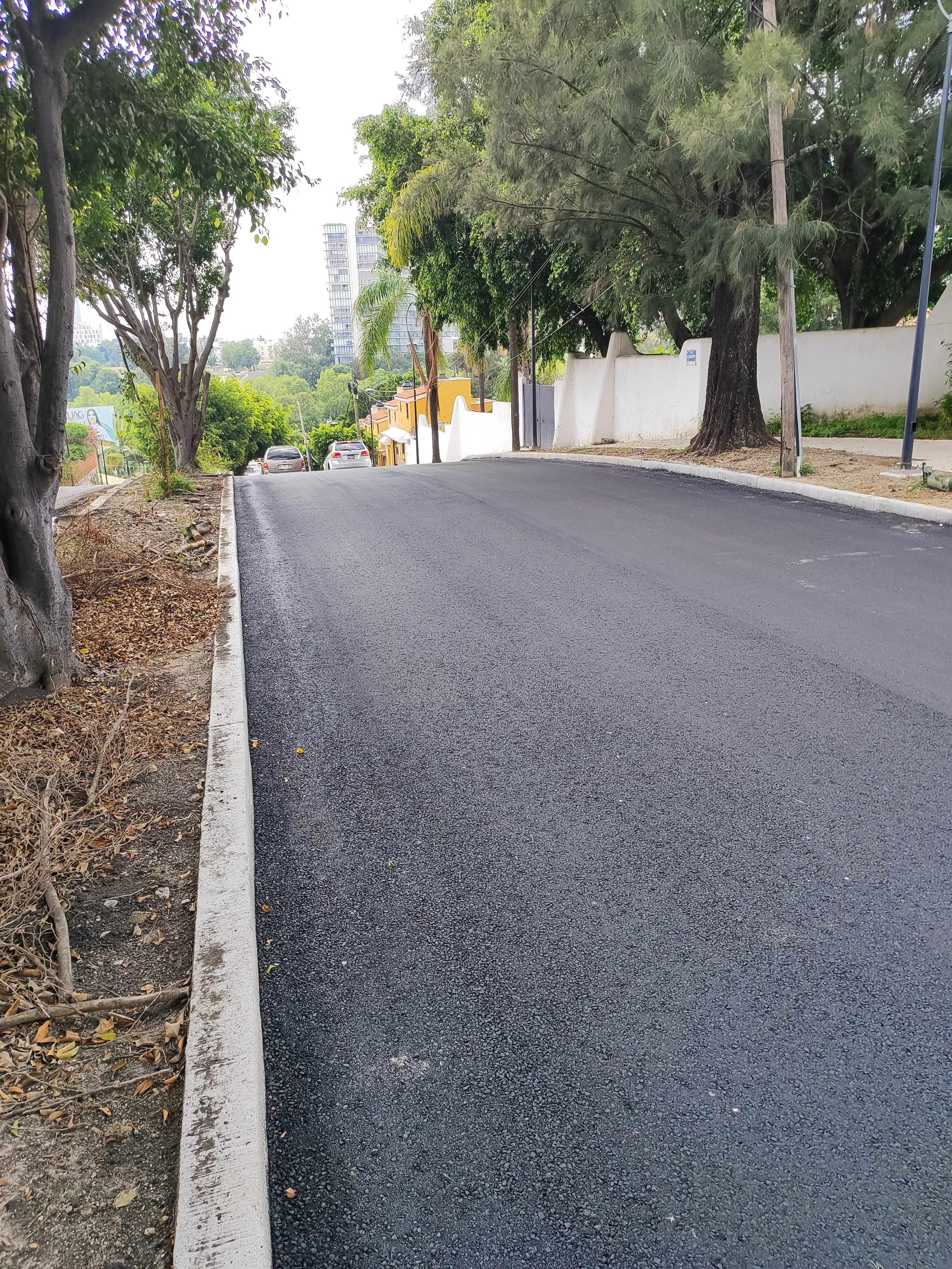 Imagen del proyecto