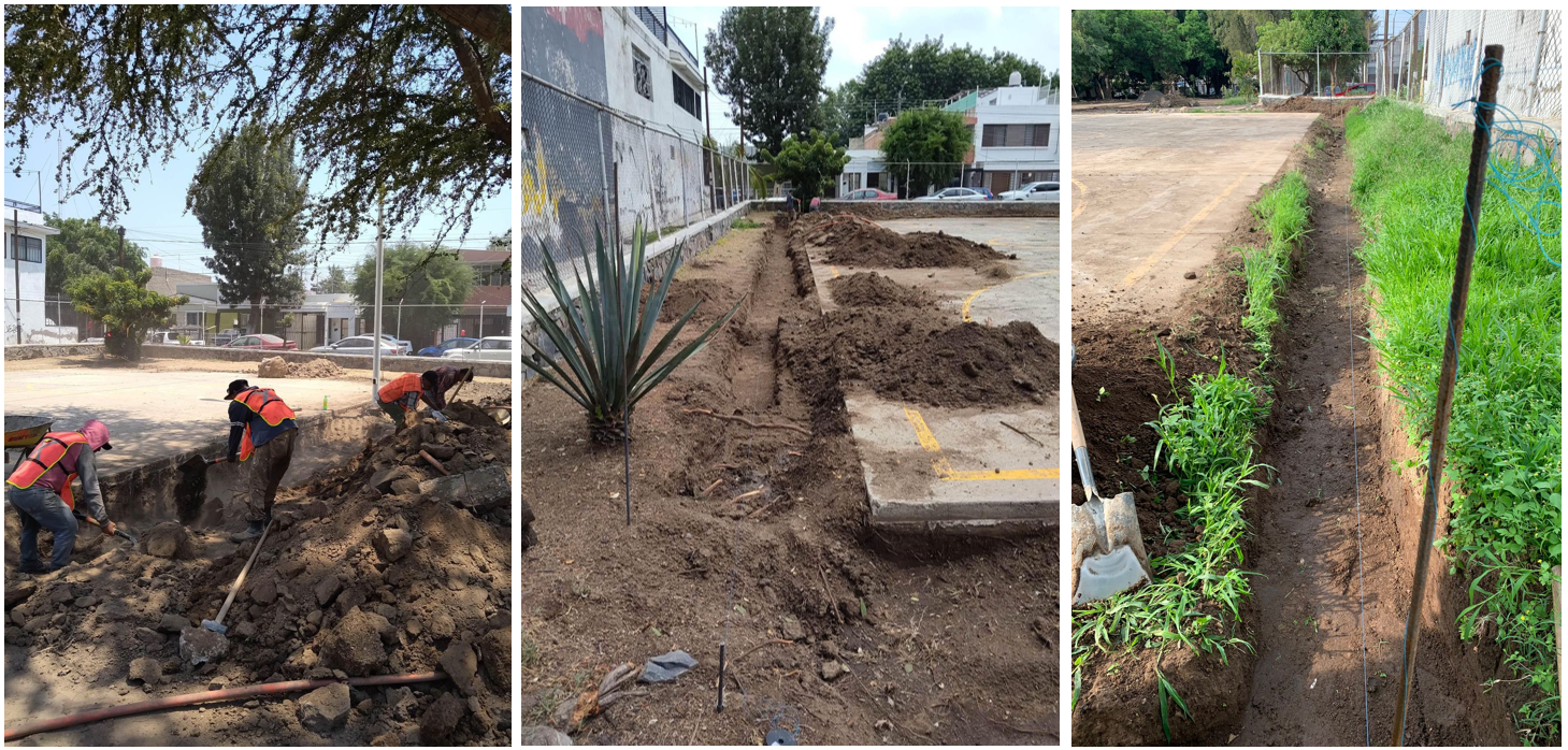 Imagen del proyecto