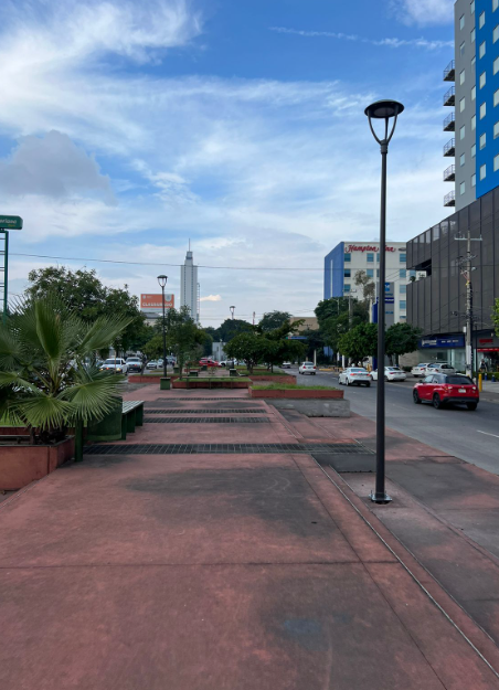 Imagen del proyecto