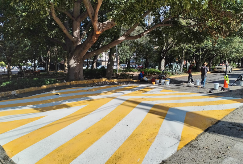 Imagen del proyecto