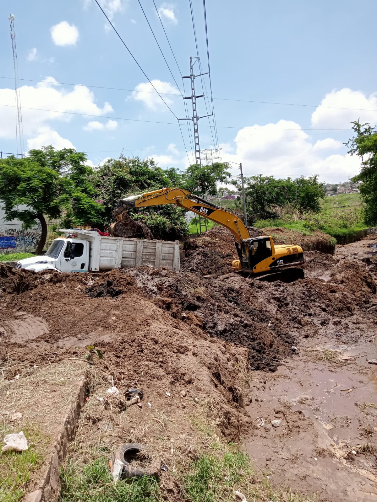 Imagen del proyecto