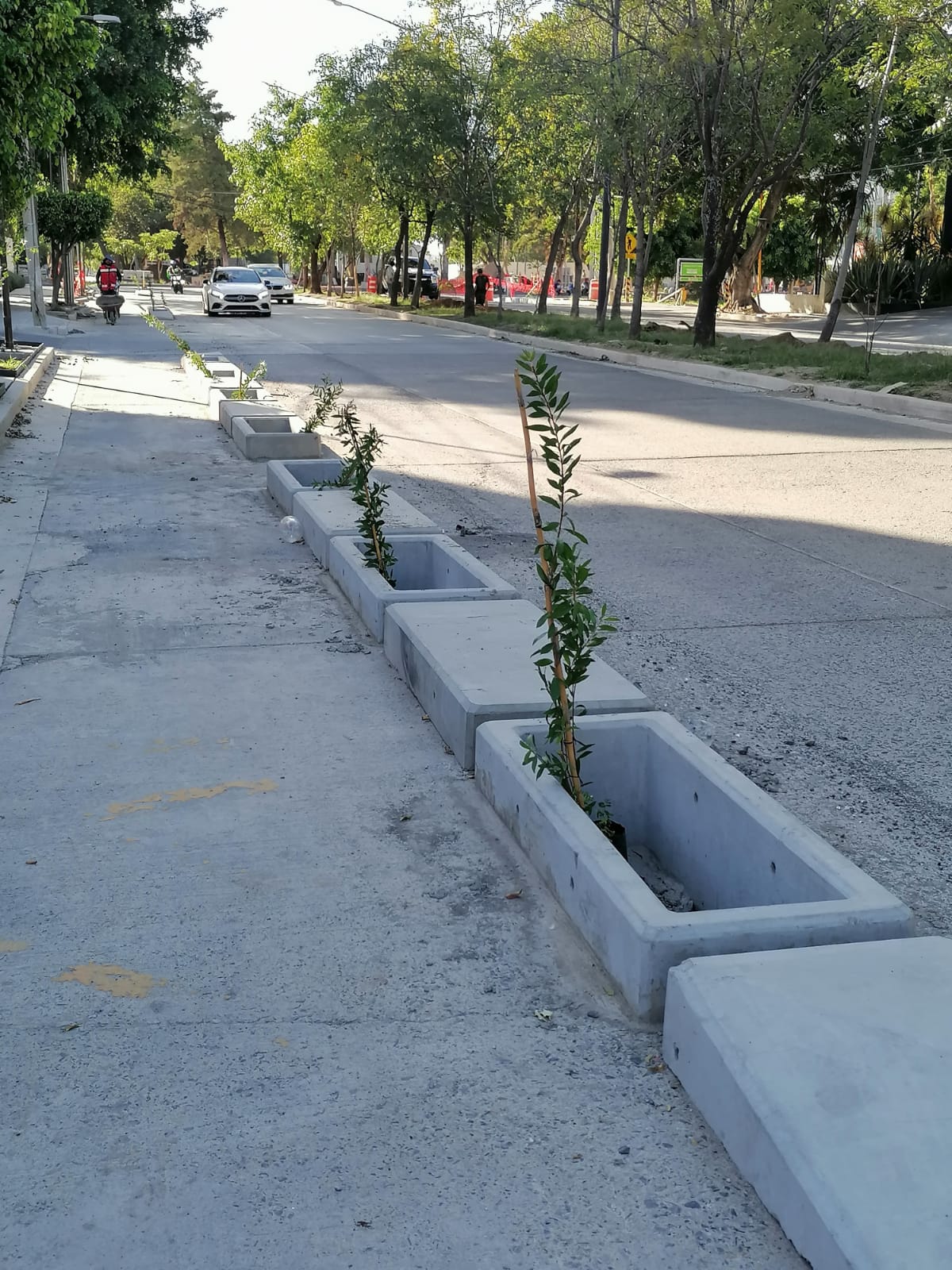 Imagen del proyecto
