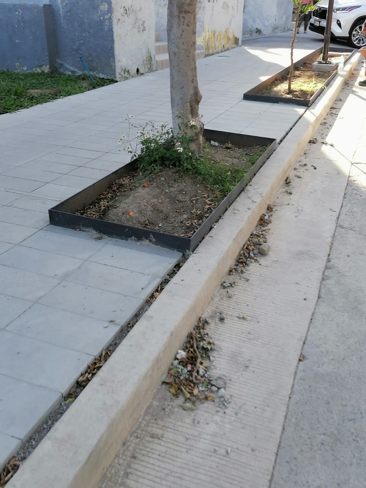 Imagen del proyecto