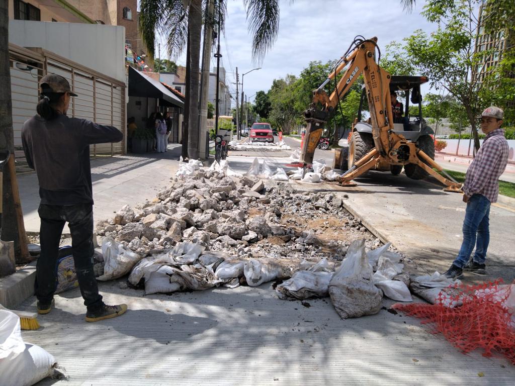 Imagen del proyecto