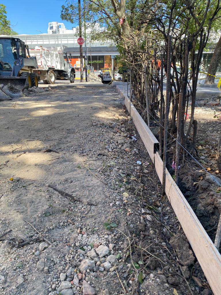 Imagen del proyecto