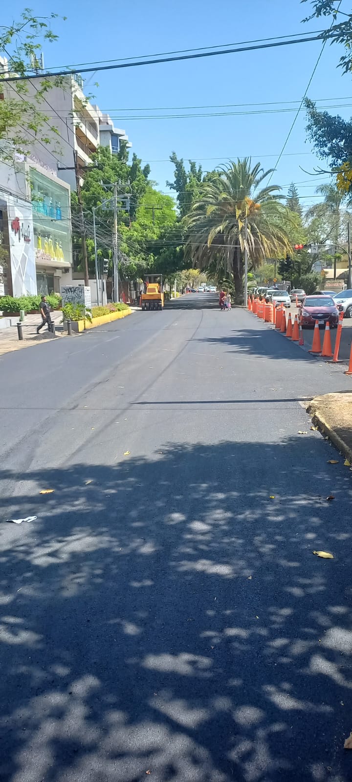 Imagen del proyecto