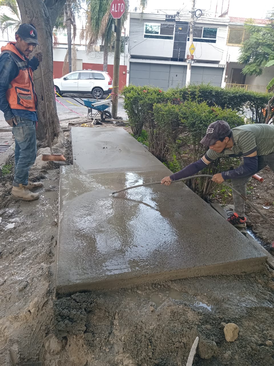 Imagen del proyecto