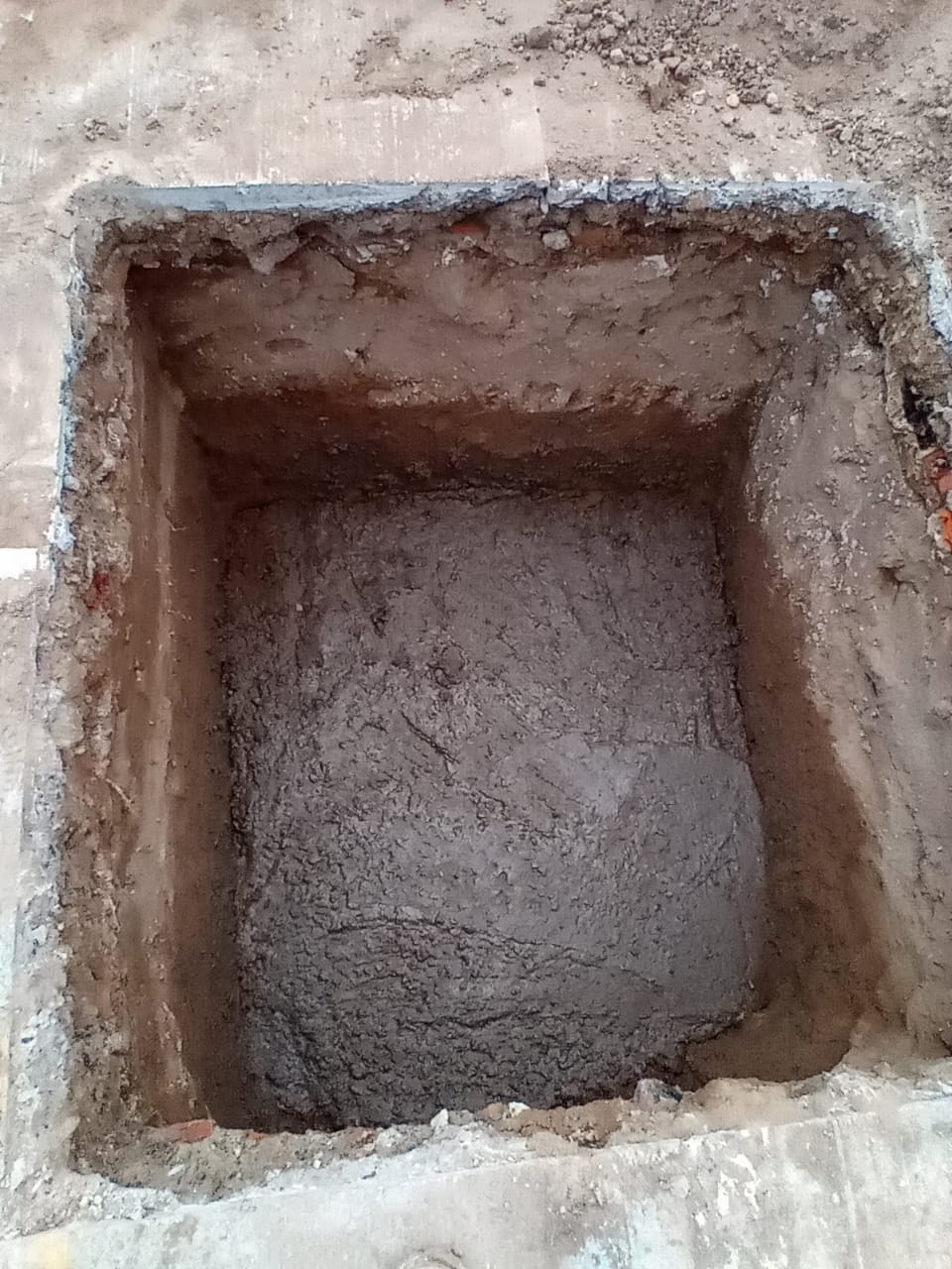 Imagen del proyecto