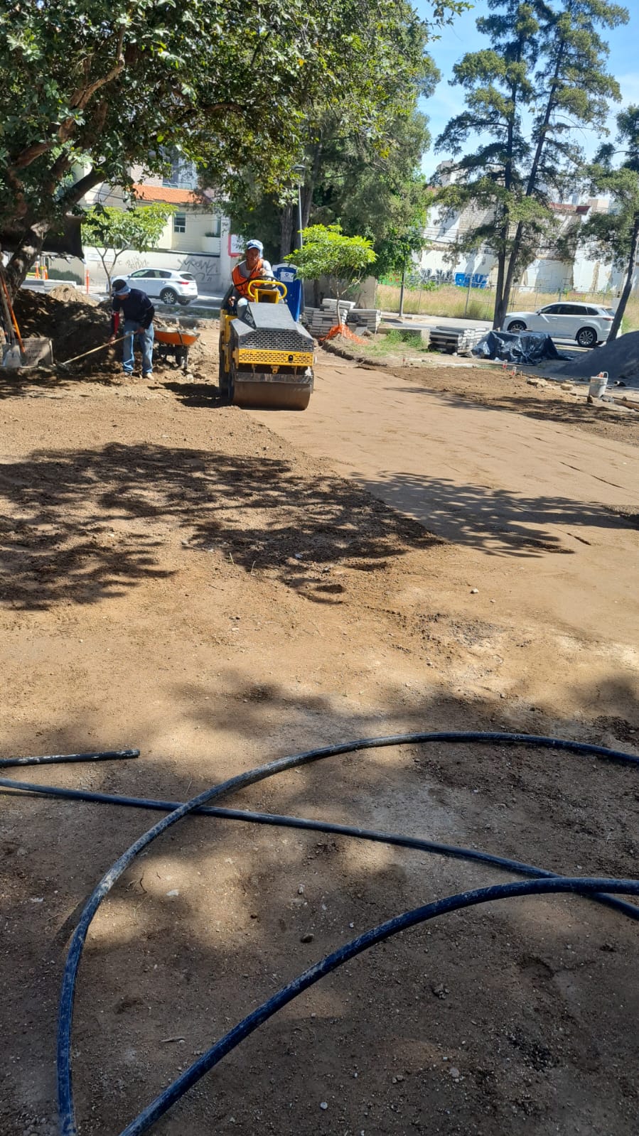Imagen del proyecto