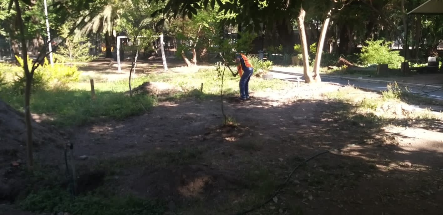 Imagen del proyecto