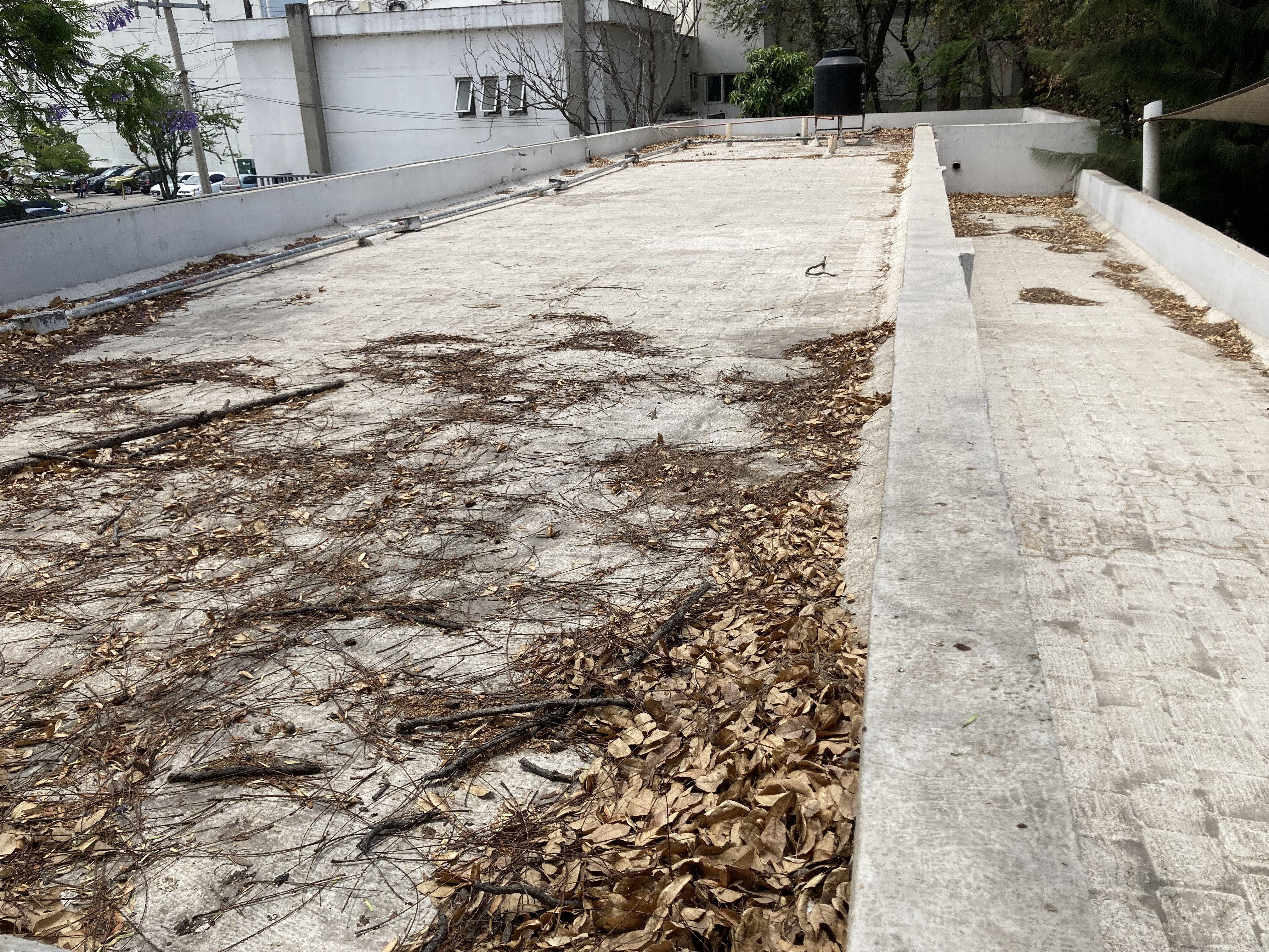Imagen del proyecto
