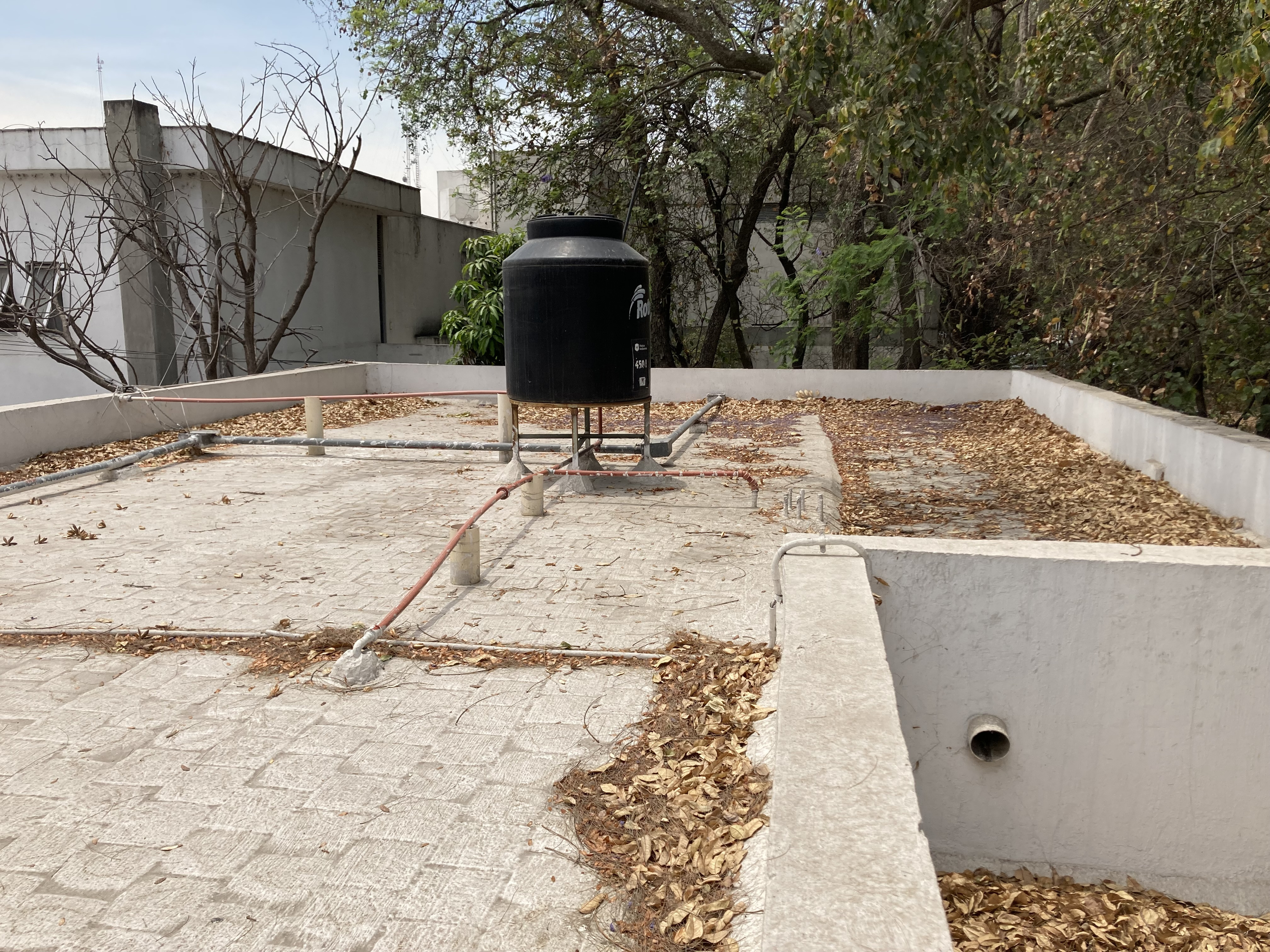 Imagen del proyecto