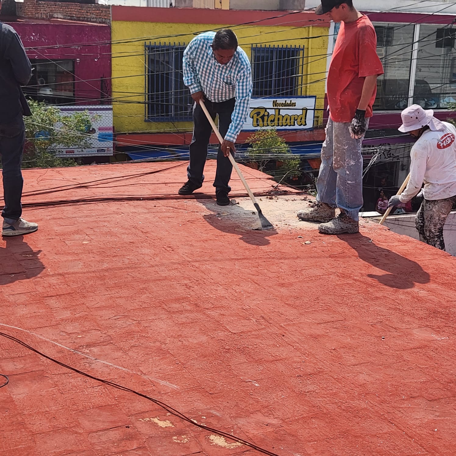 Imagen del proyecto