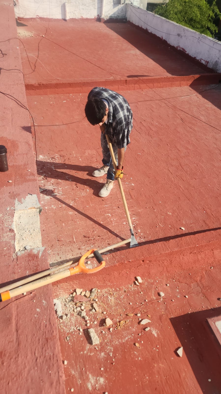Imagen del proyecto
