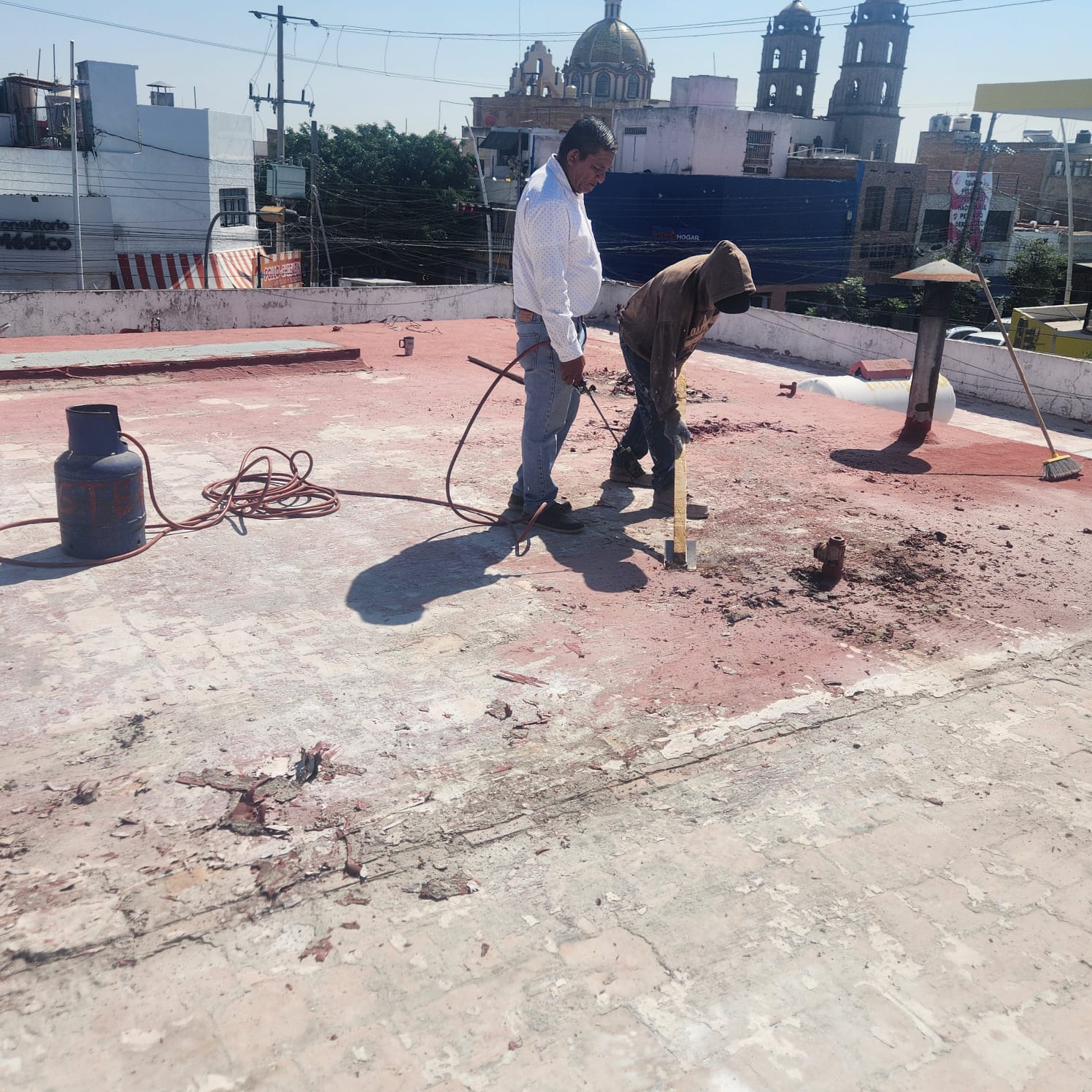 Imagen del proyecto