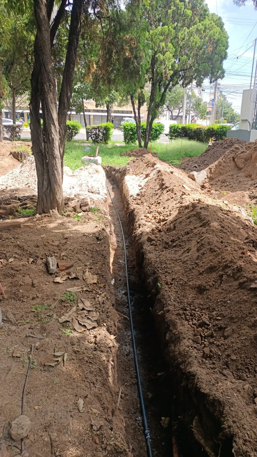 Imagen del proyecto