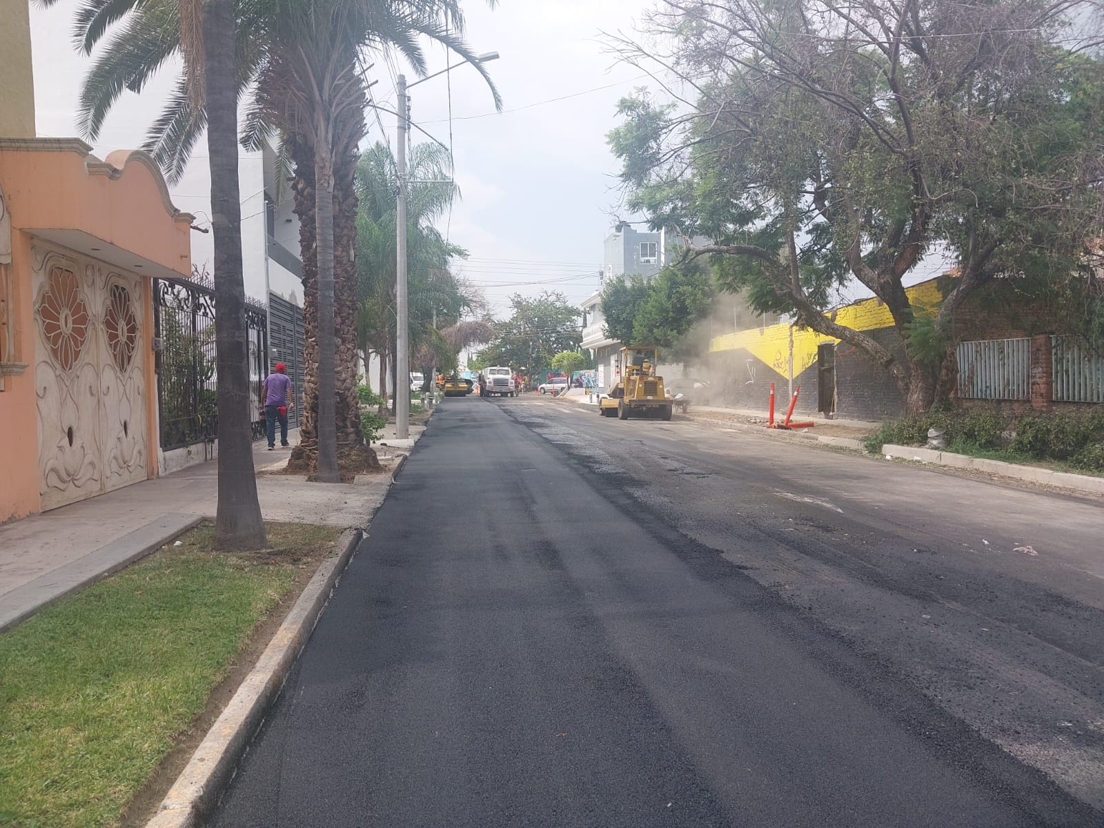 Imagen del proyecto
