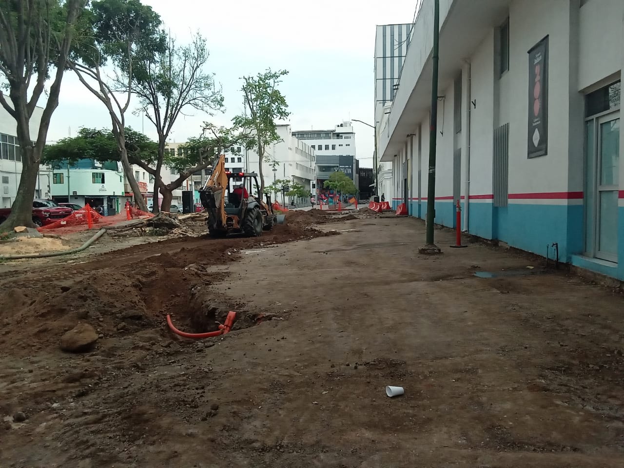 Imagen del proyecto