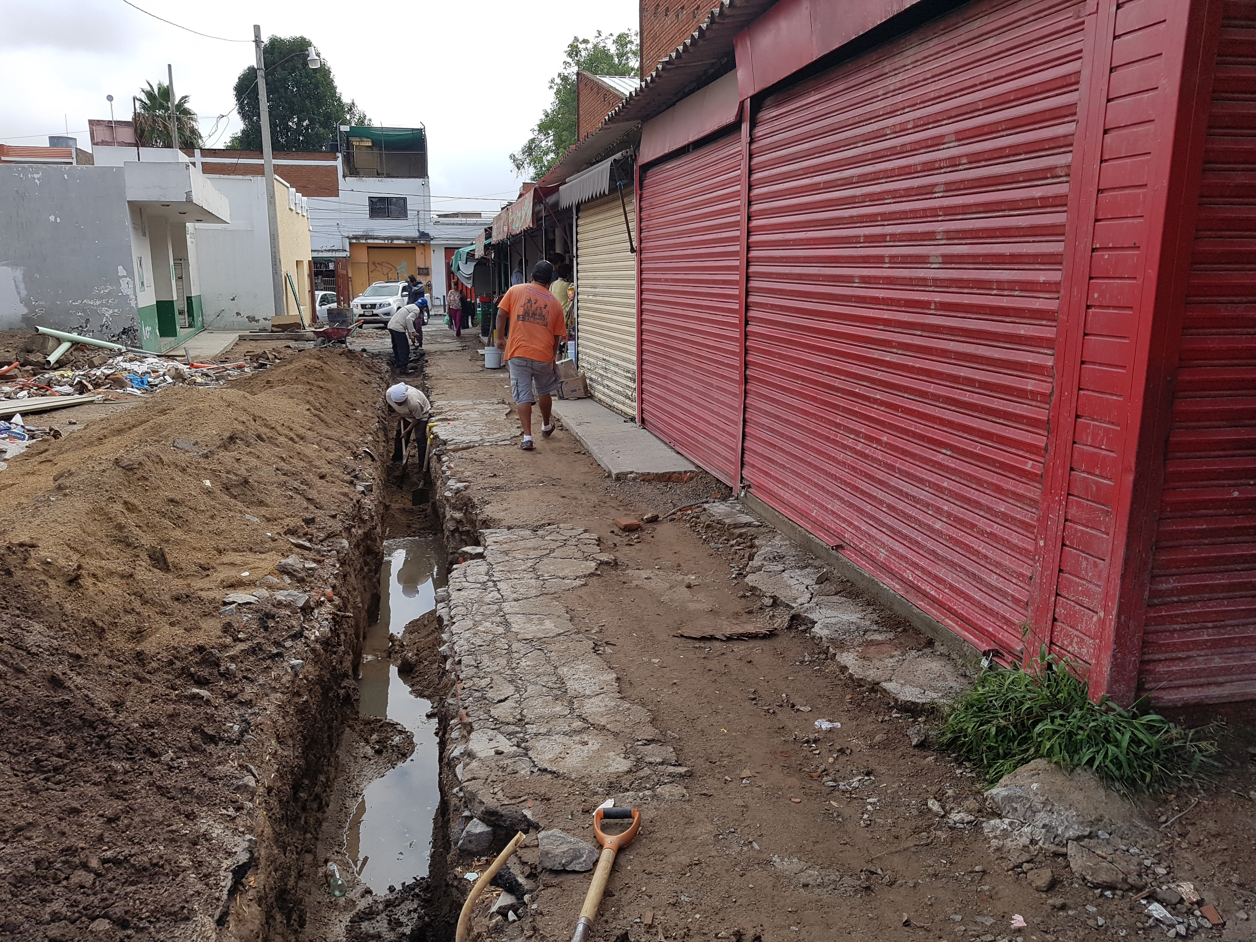 Imagen del proyecto