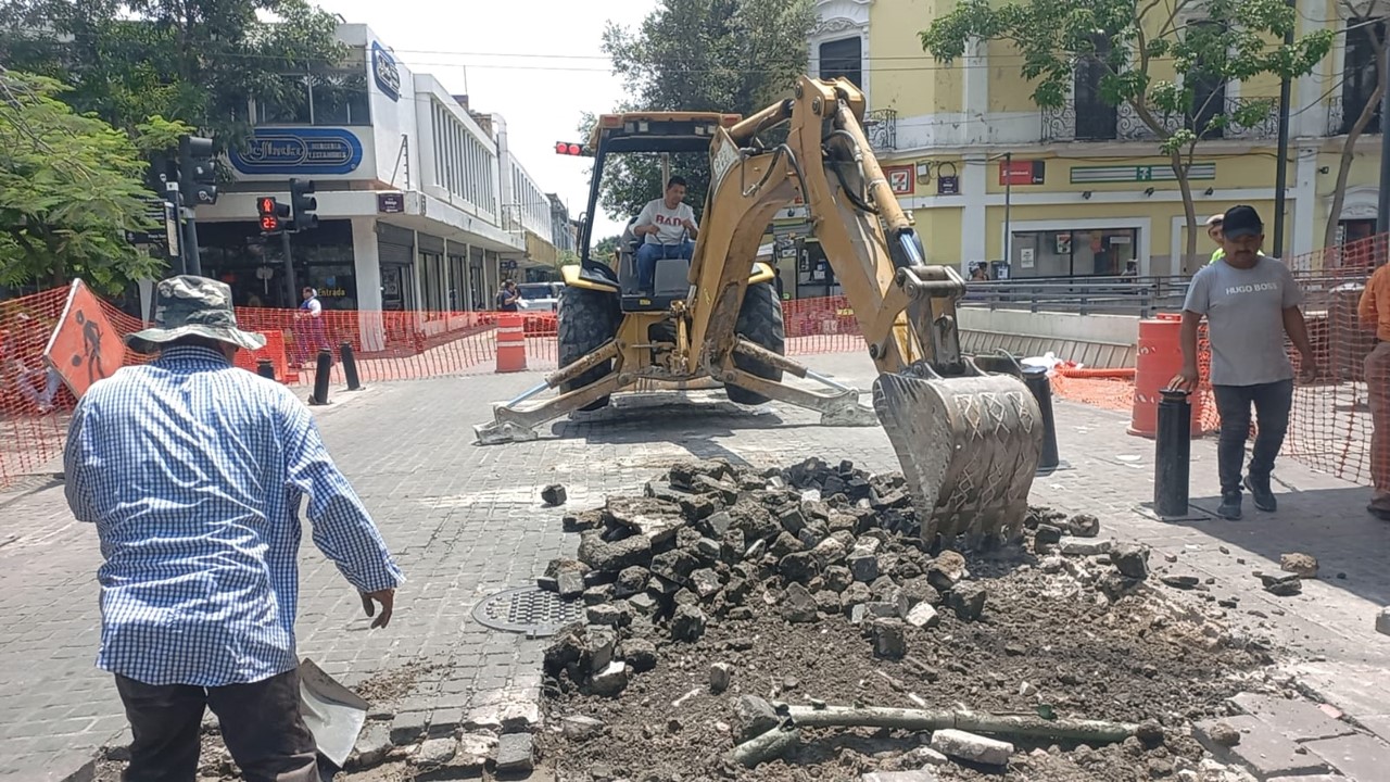Imagen del proyecto