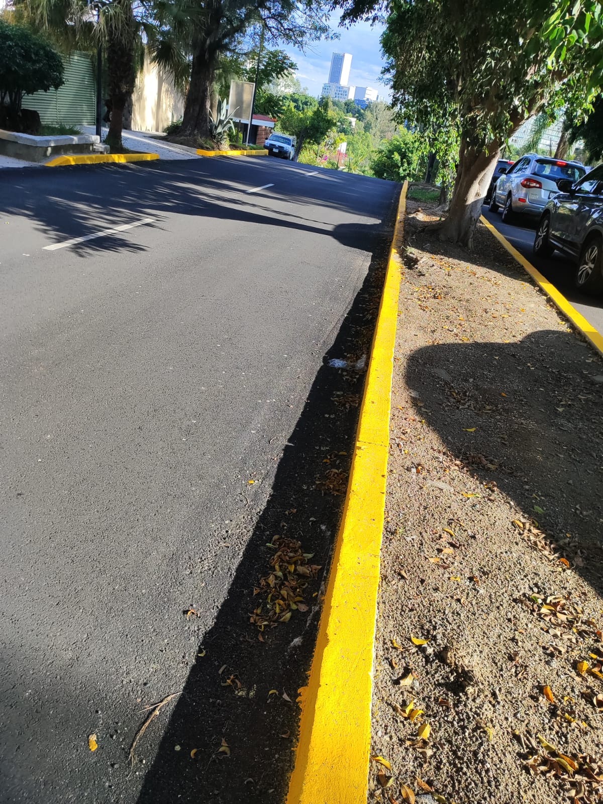 Imagen del proyecto