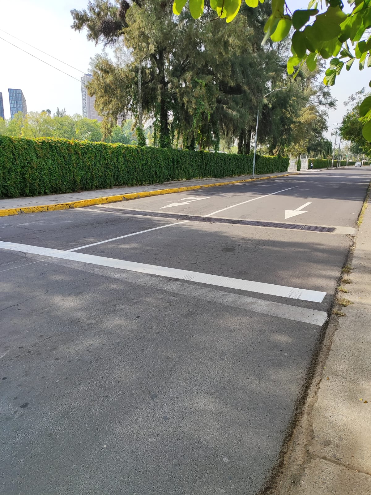 Imagen del proyecto