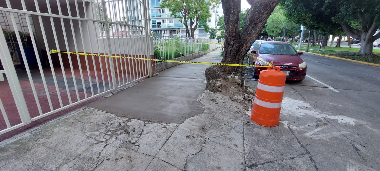 Imagen del proyecto