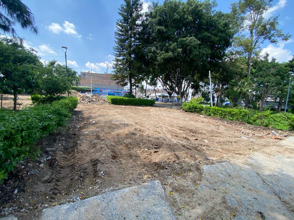 Imagen del proyecto
