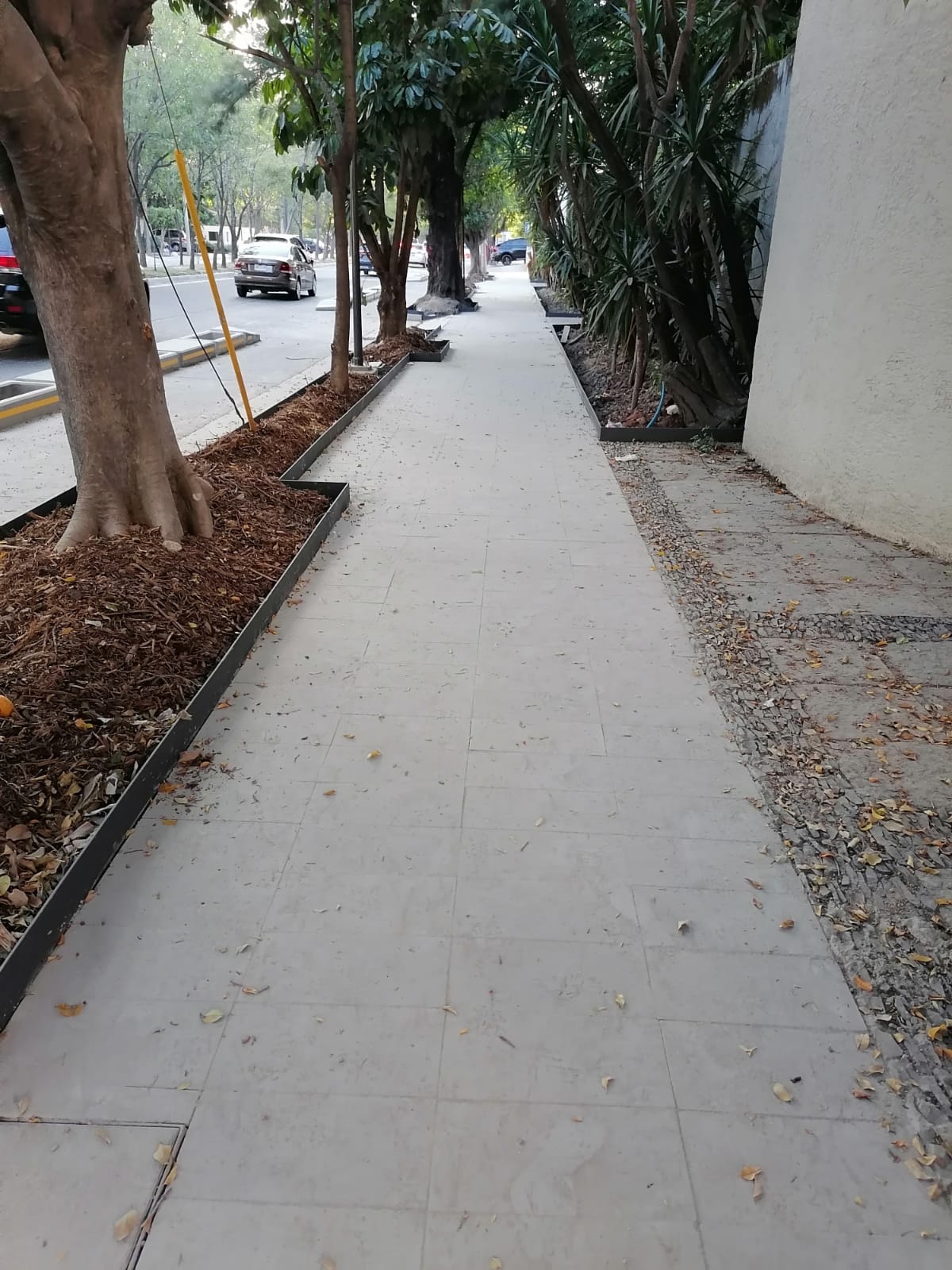 Imagen del proyecto