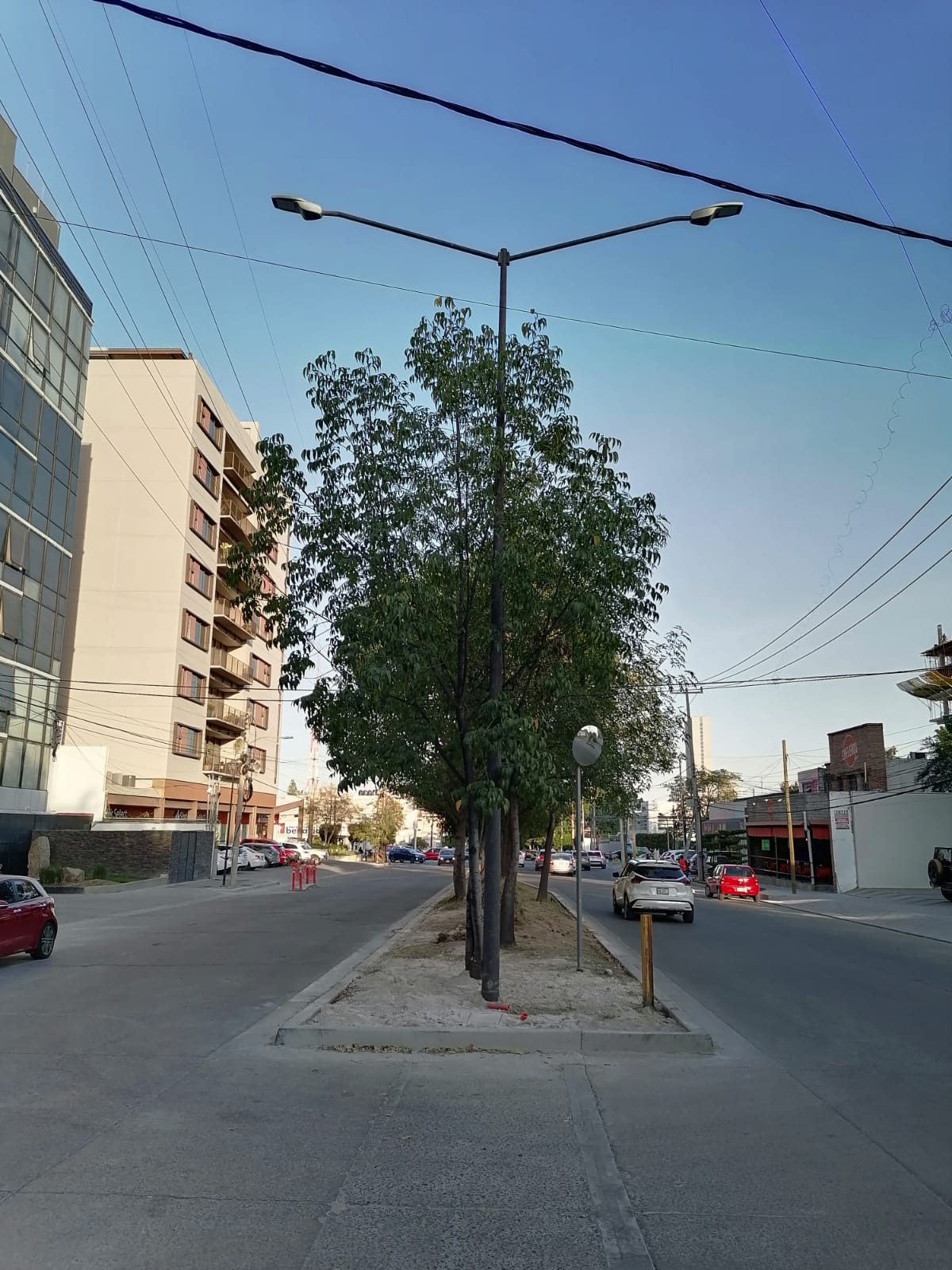 Imagen del proyecto