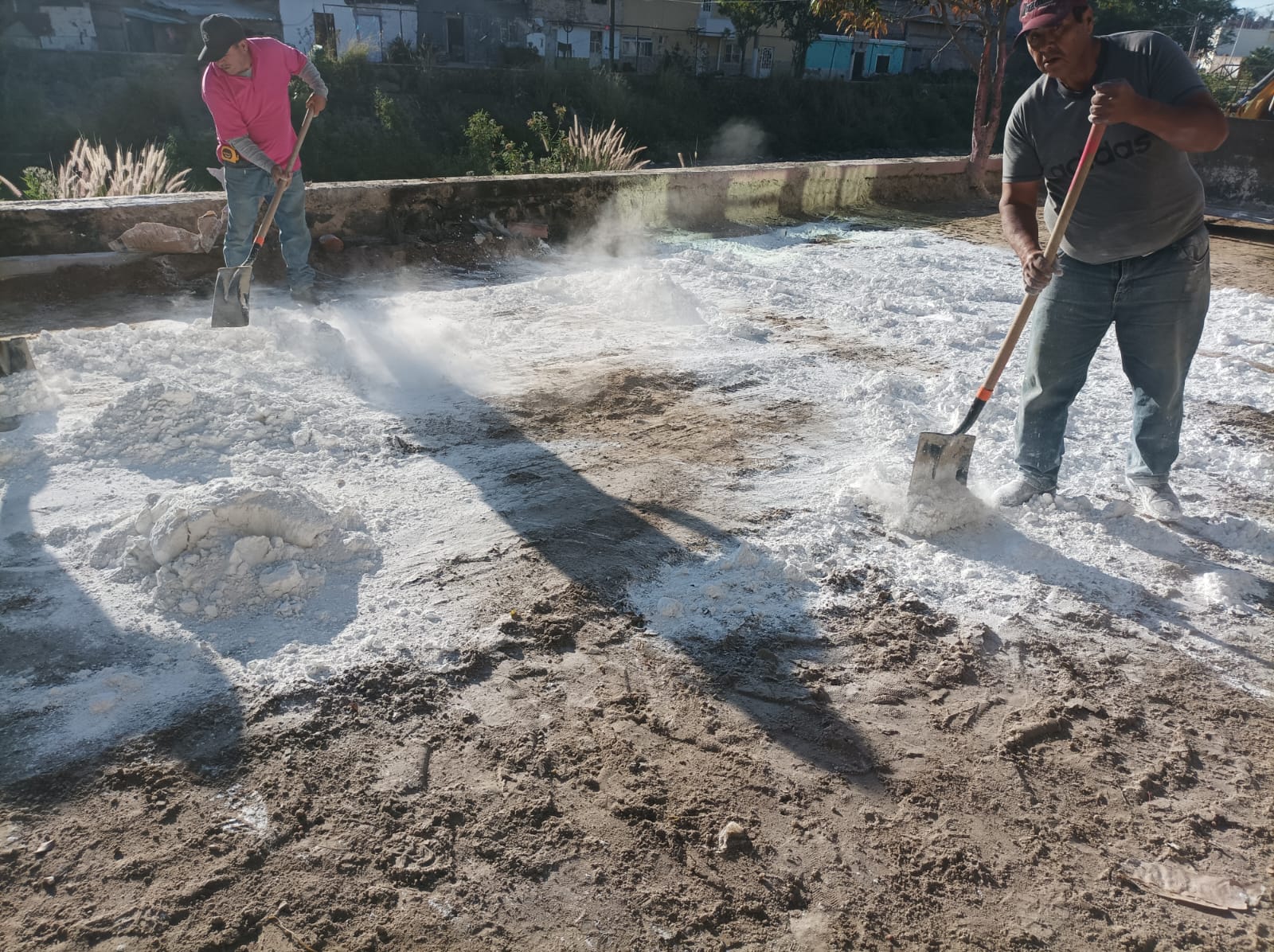 Imagen del proyecto