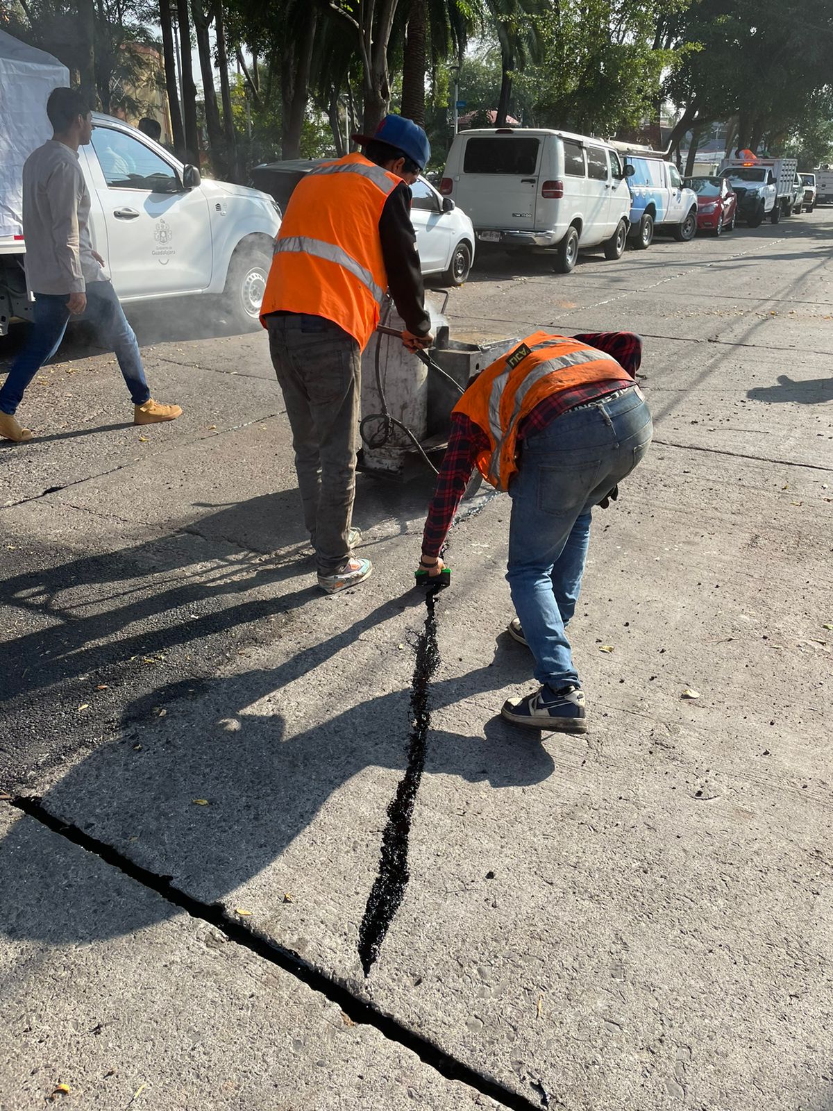 Imagen del proyecto