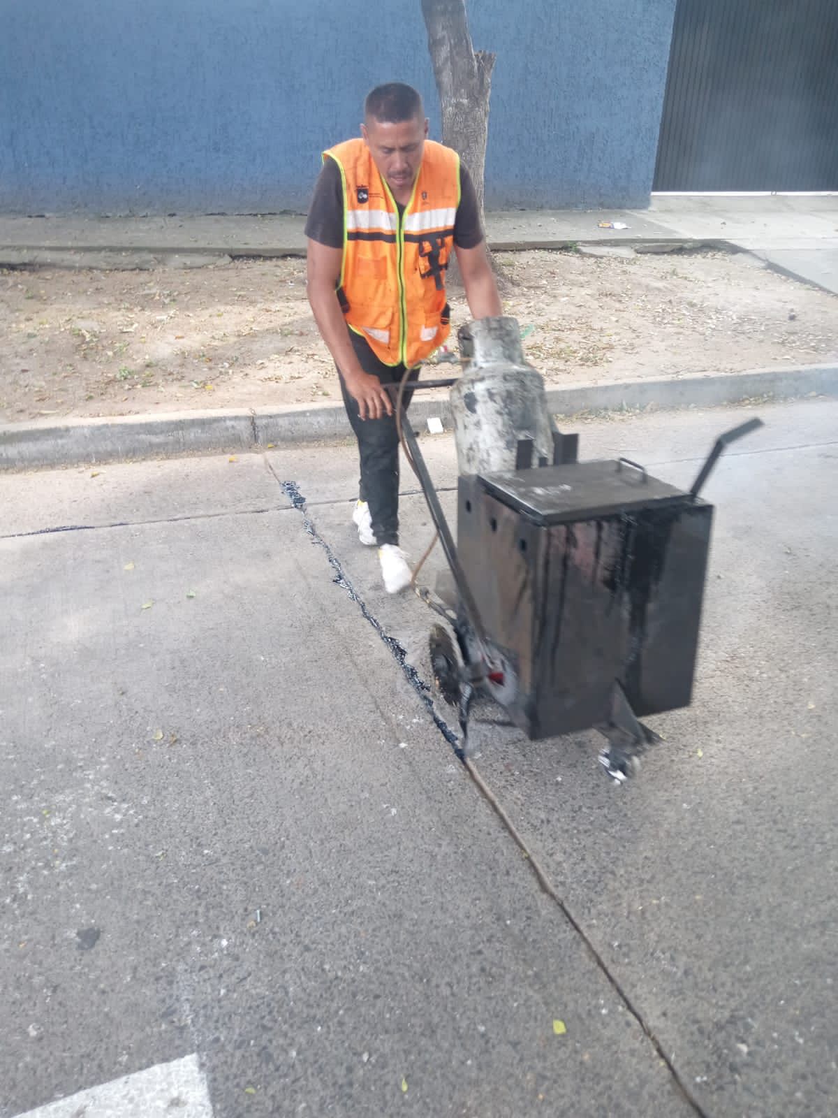 Imagen del proyecto