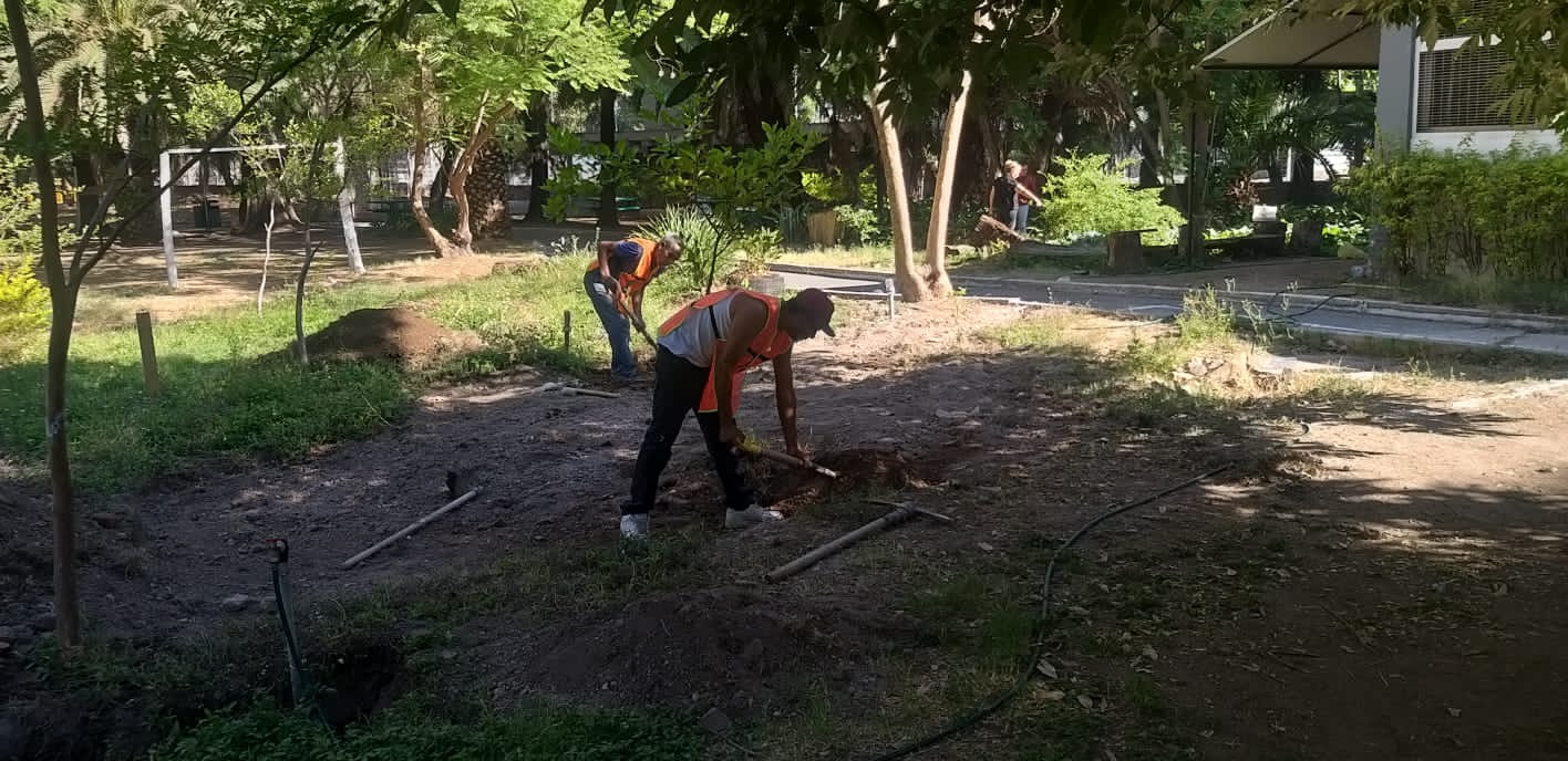 Imagen del proyecto