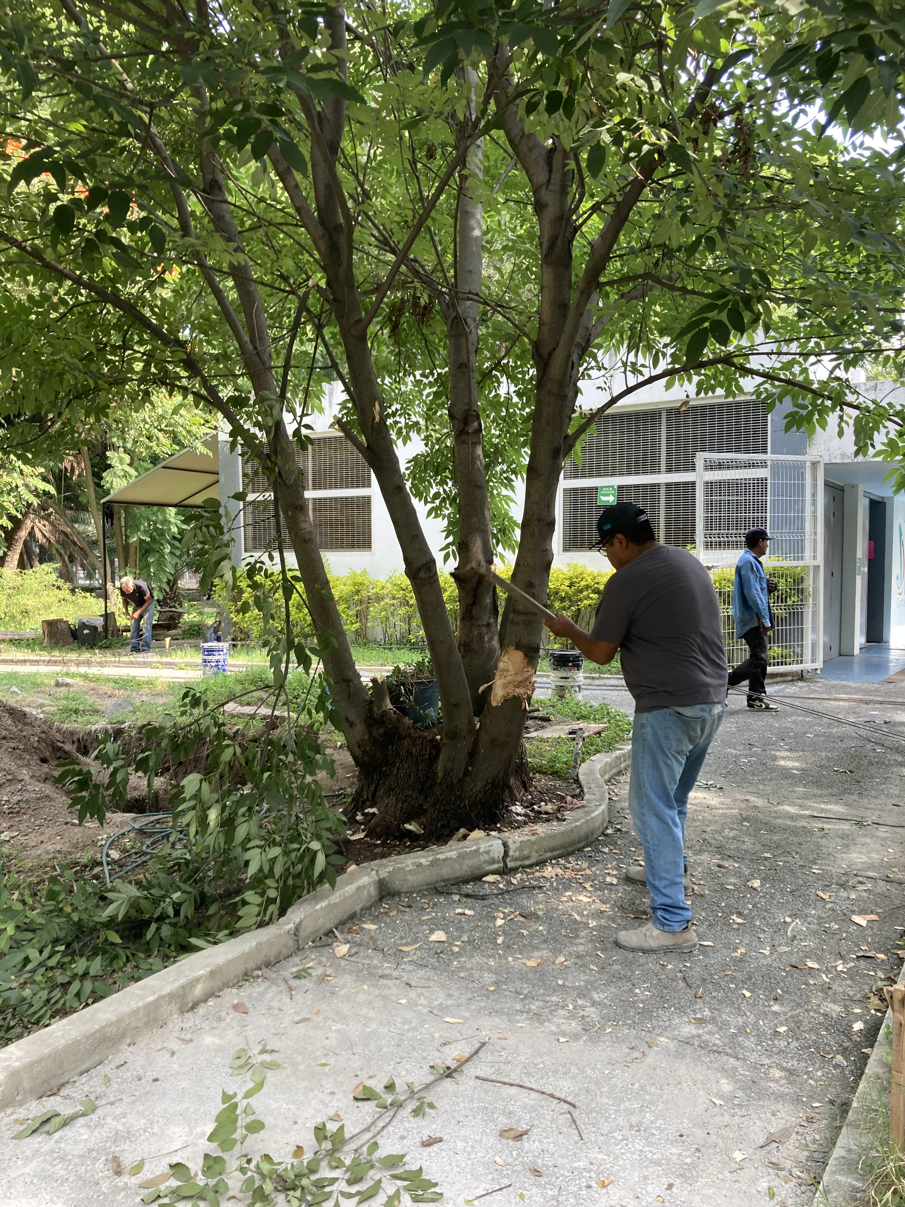 Imagen del proyecto