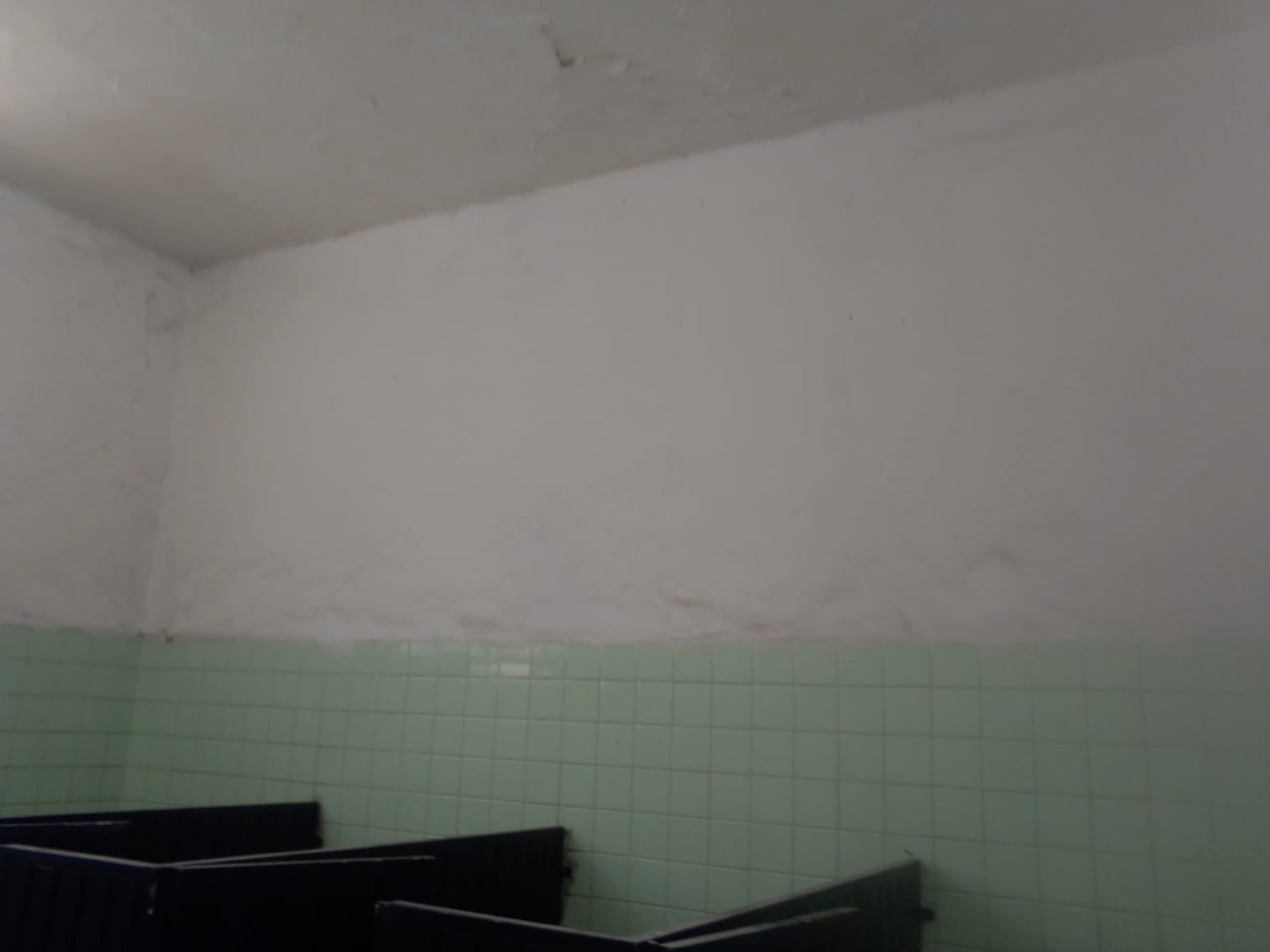 Imagen del proyecto