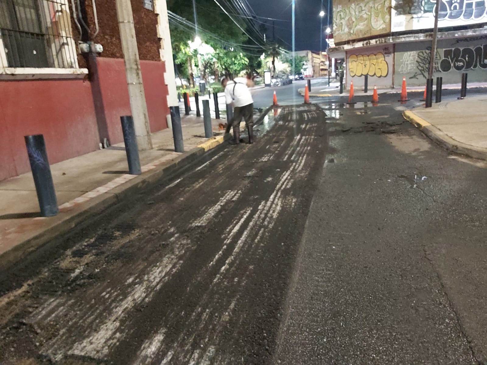 Imagen del proyecto