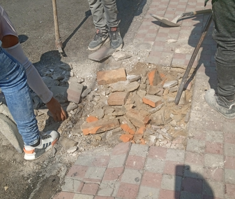 Imagen del proyecto