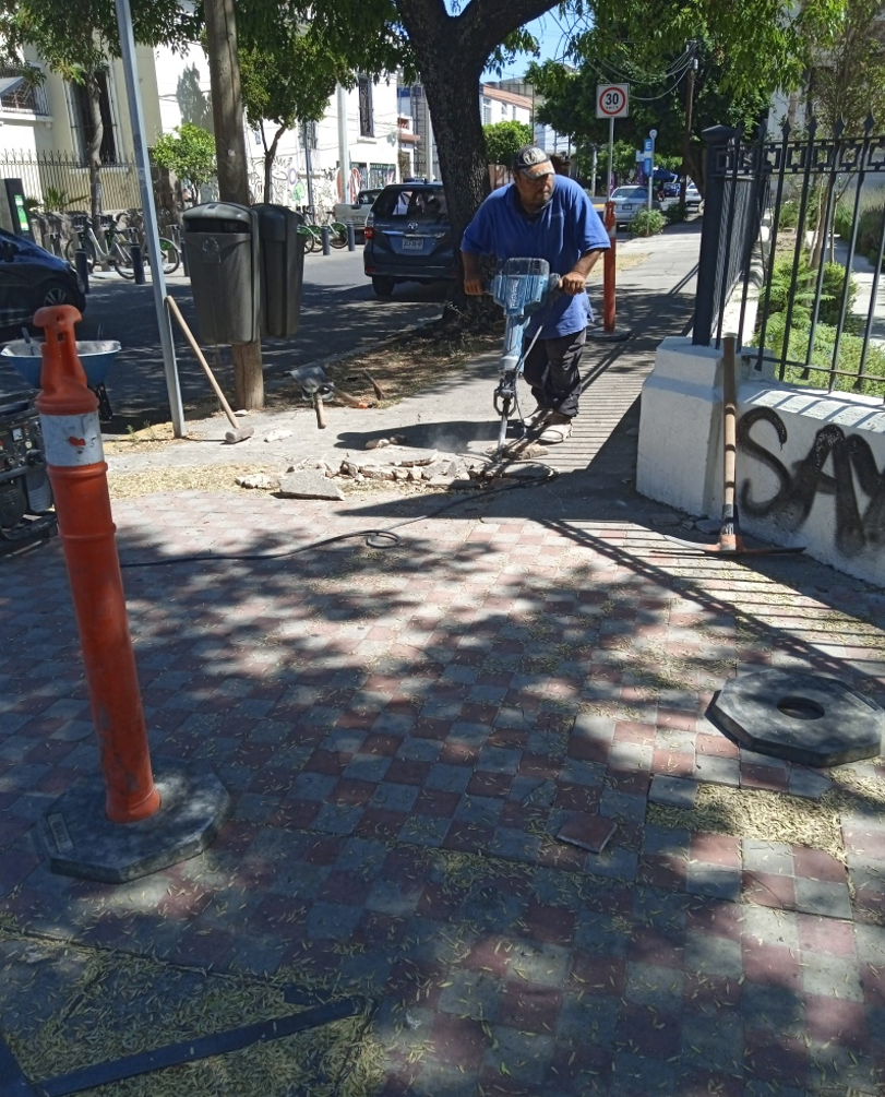 Imagen del proyecto