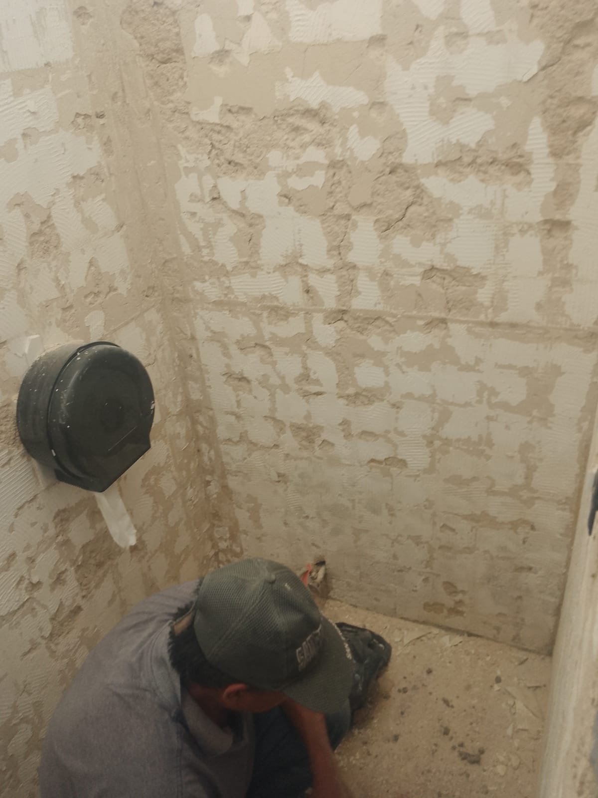 Imagen del proyecto