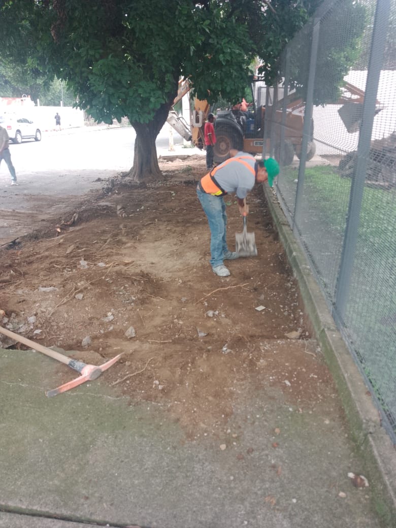 Imagen del proyecto