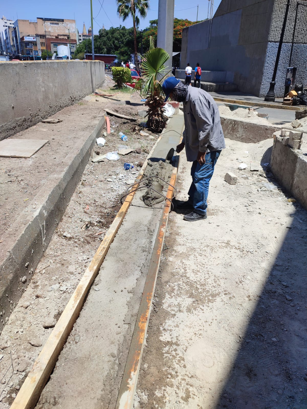 Imagen del proyecto