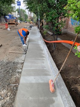 Imagen del proyecto