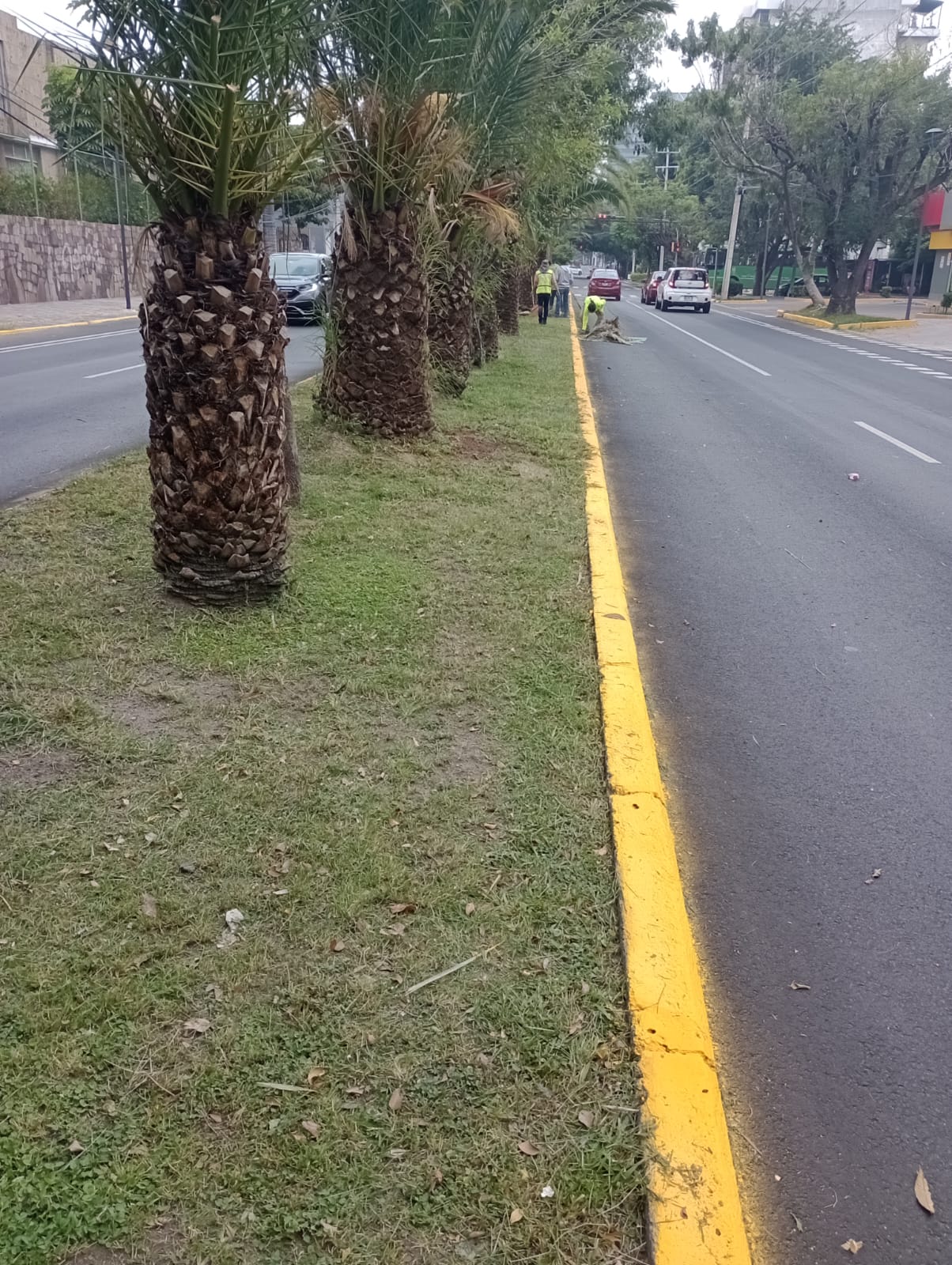 Imagen del proyecto