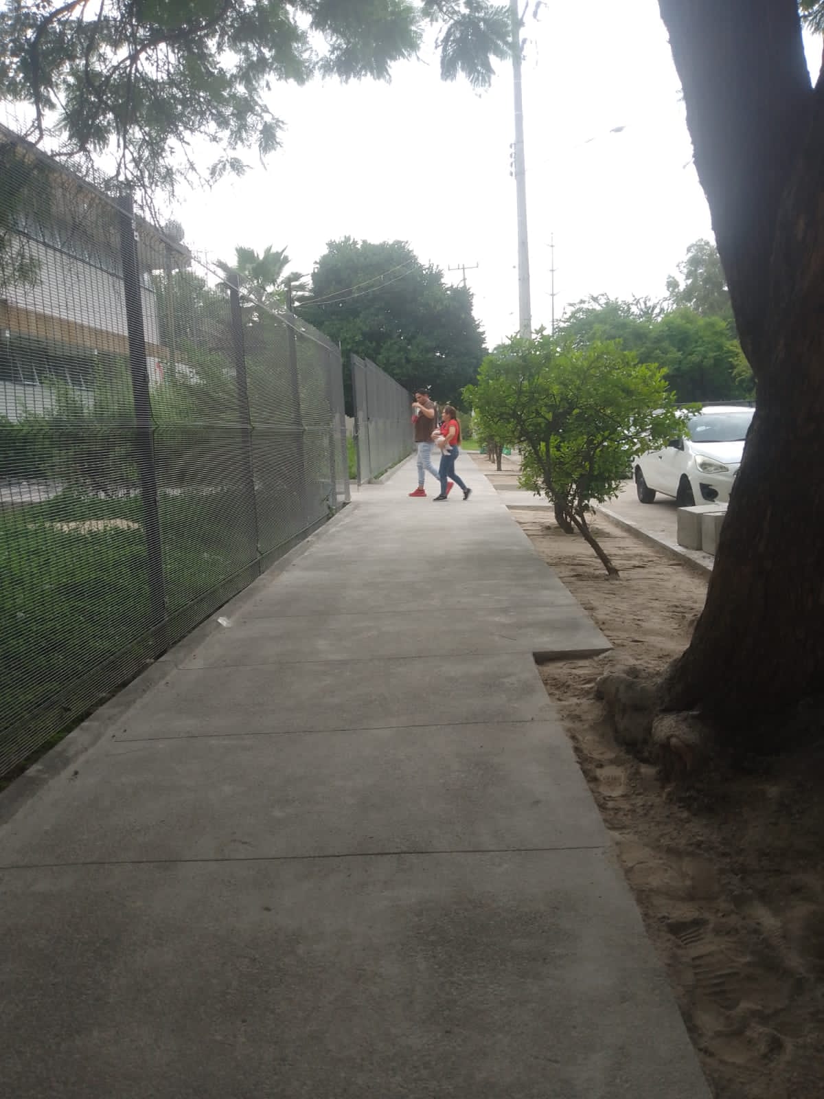 Imagen del proyecto