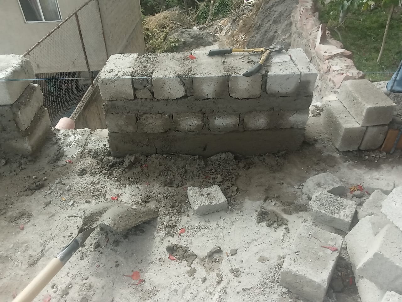 Imagen del proyecto