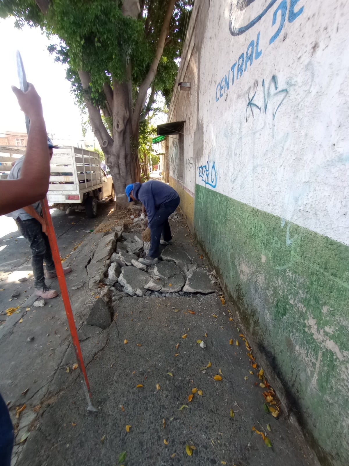 Imagen del proyecto